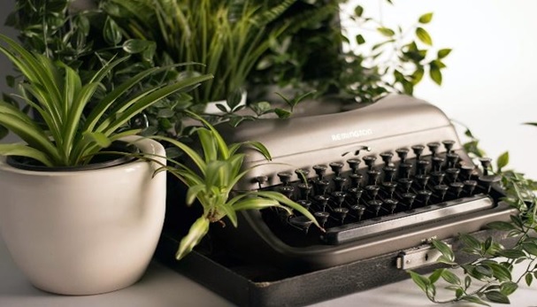 Apartment Essentials for 2025: What Every Renter Needs This Year